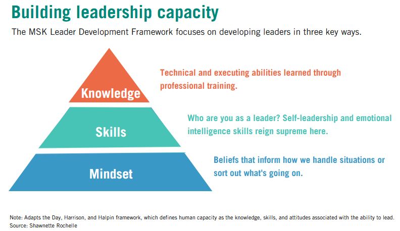 Building leadership capacity